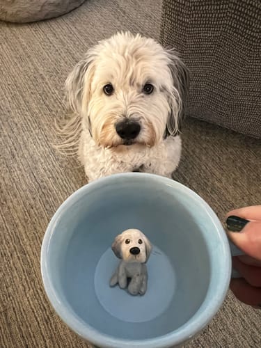 Photo shared with Sara W.’s mugs feedback