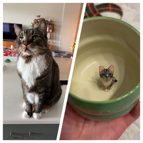 Photo shared with Daniela D.’s mugs feedback