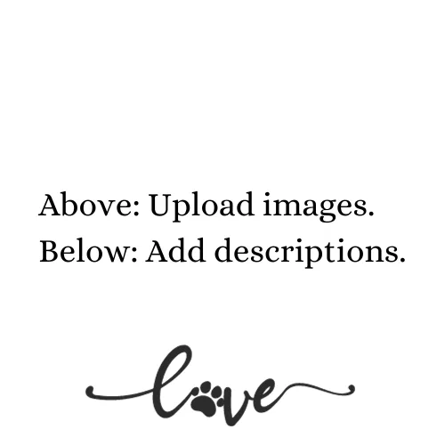 Custom option